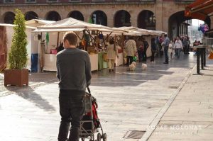 Planes en Gijón: Mercado ecologico
